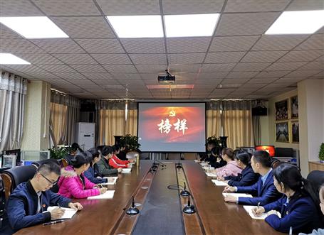 向榜樣看齊，做合格黨員