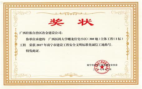 南寧分公司四個項目獲表彰！