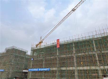 【奮戰(zhàn)一季度·沖刺開(kāi)門紅】冶建桂南分公司承建項(xiàng)目主體封頂