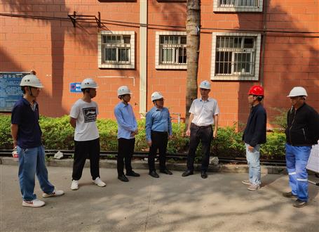 何勇、韋克雪到柳州市城市更新項目進行調(diào)研指導工作